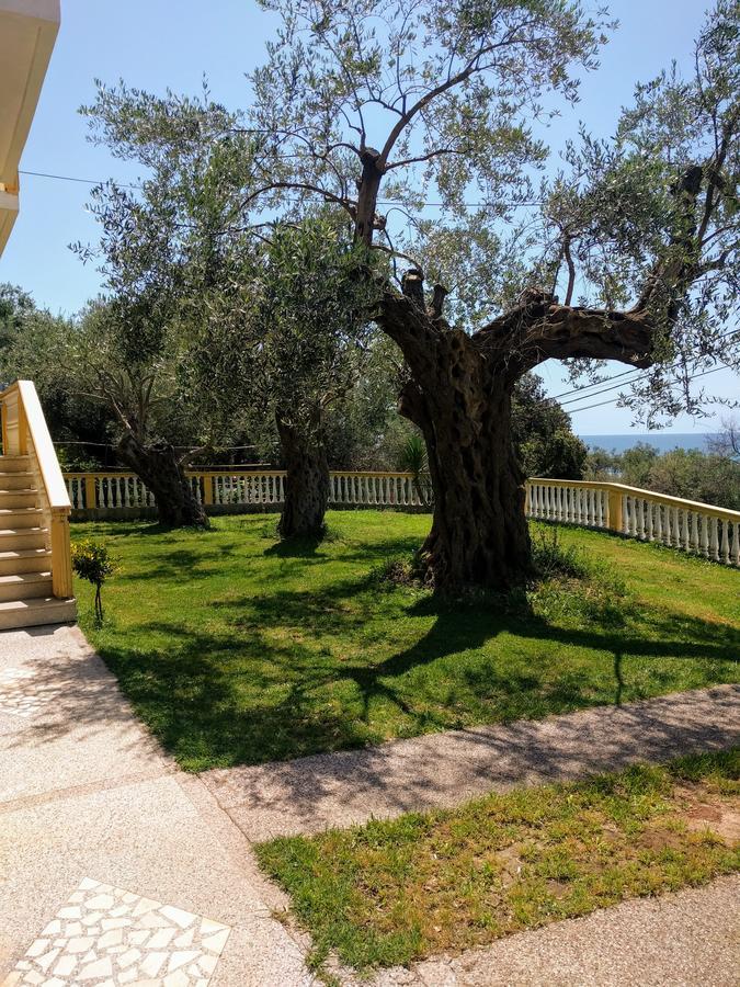 Apartment Spuza Ulcinj Eksteriør bilde